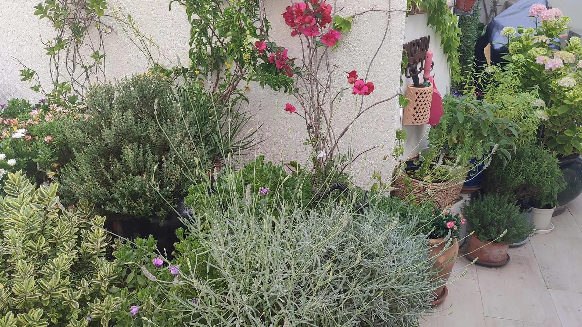 Appartamento Juan Les Pins Plages Clim Wifi Maison Entiere Antibes Francia